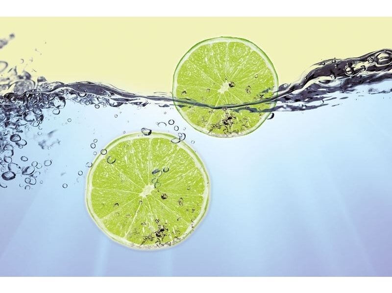 FOR WALL fototapetai 0109VE XXL