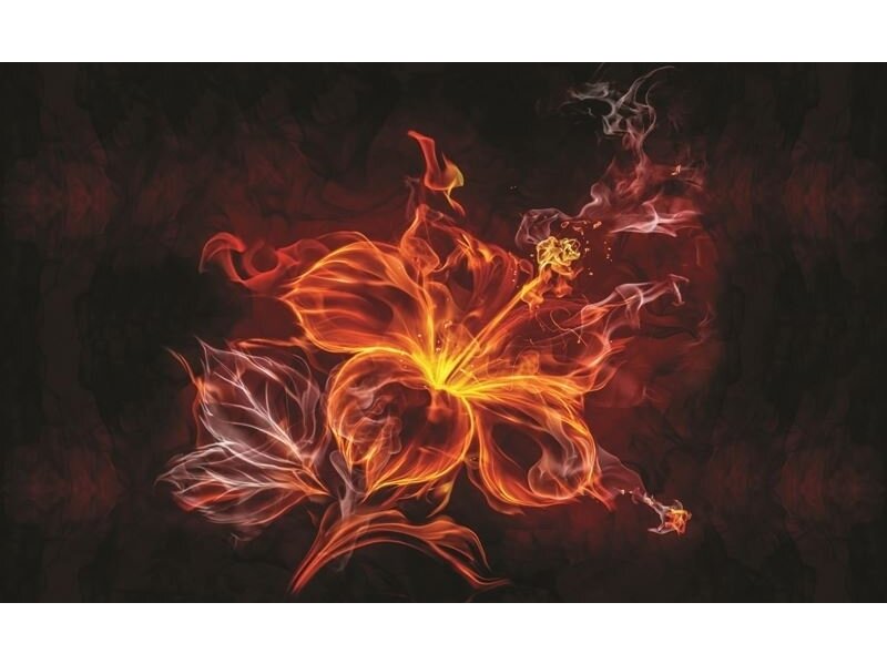 FOR WALL fototapetai 1105VE L