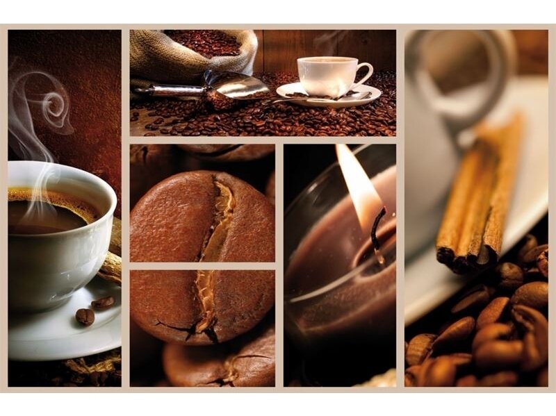 FOR WALL fototapetai 0113VE XXL