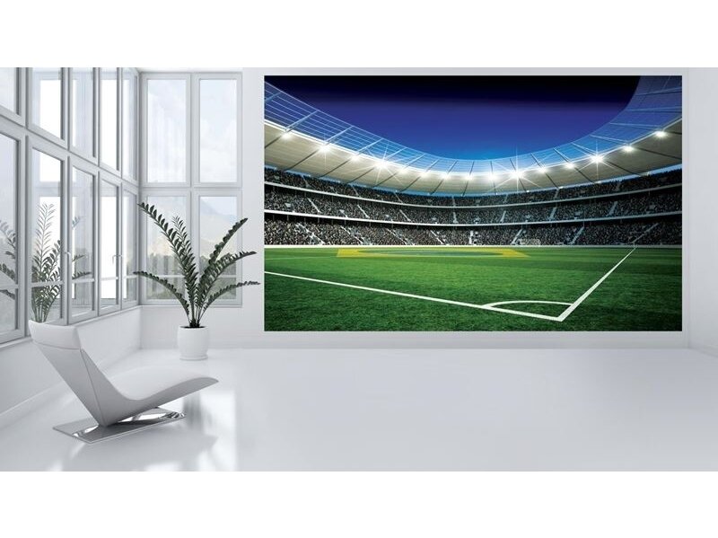 FOR WALL fototapetai 1213VE P8 1