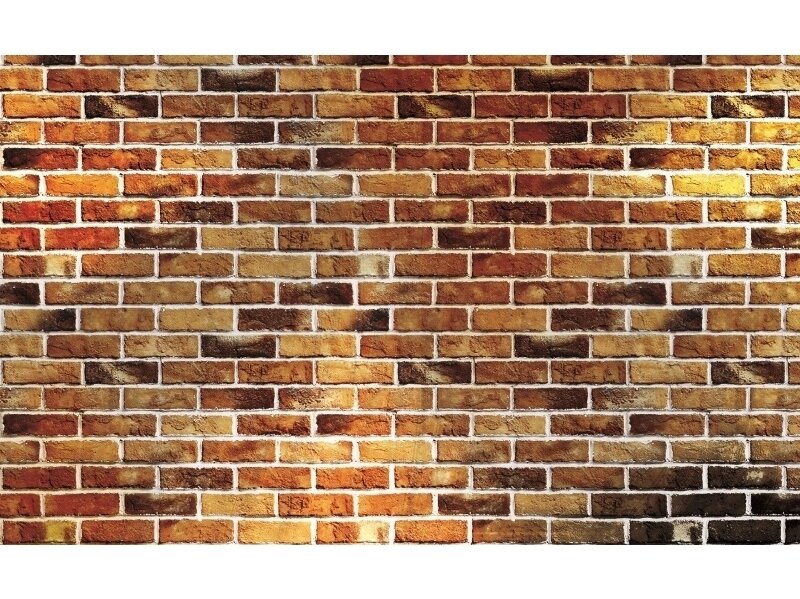 FOR WALL fototapetai 1534VE M