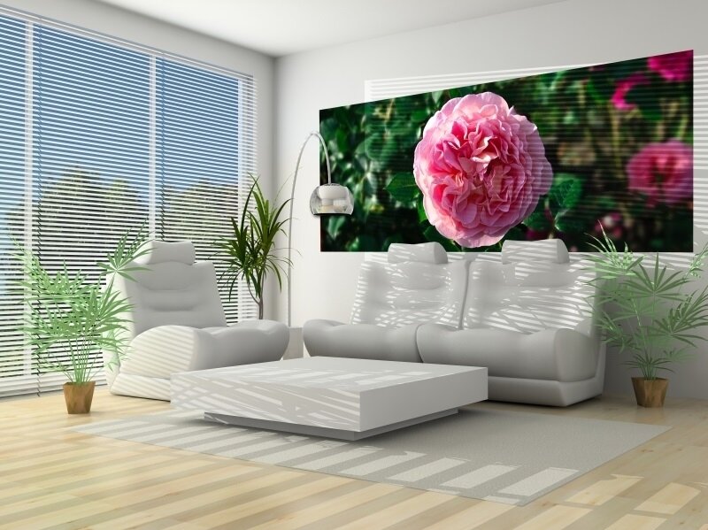 FOR WALL fototapetai 1554VEP 1 FOR WALL fototapetai 1554VEP 1