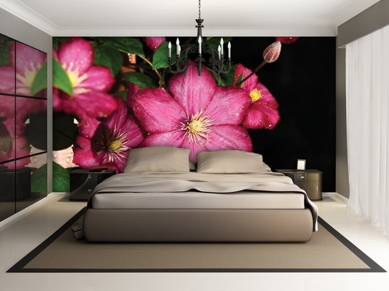 FOR WALL fototapetai 1556VE XXXL 1