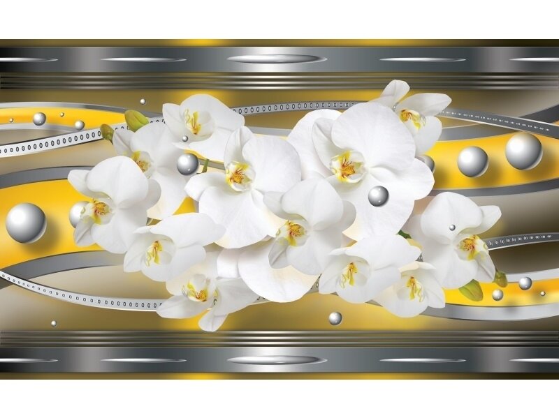 FOR WALL fototapetai 1559VE M