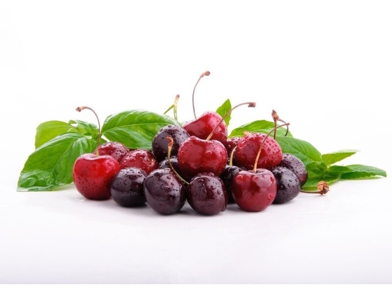 FOR WALL fototapetai 1570VE P4 FOR WALL fototapetai 1570VE P4