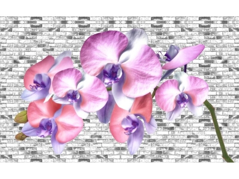 FOR WALL fototapetai 1604VE P8