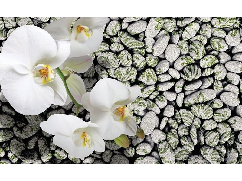FOR WALL fototapetai 1651VE P8 FOR WALL fototapetai 1651VE P8