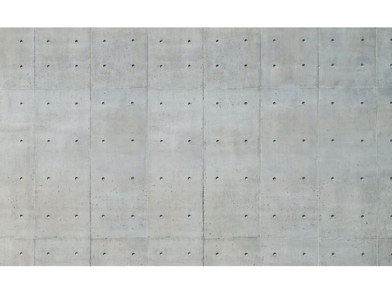 FOR WALL fototapetai 1657VE XXXL