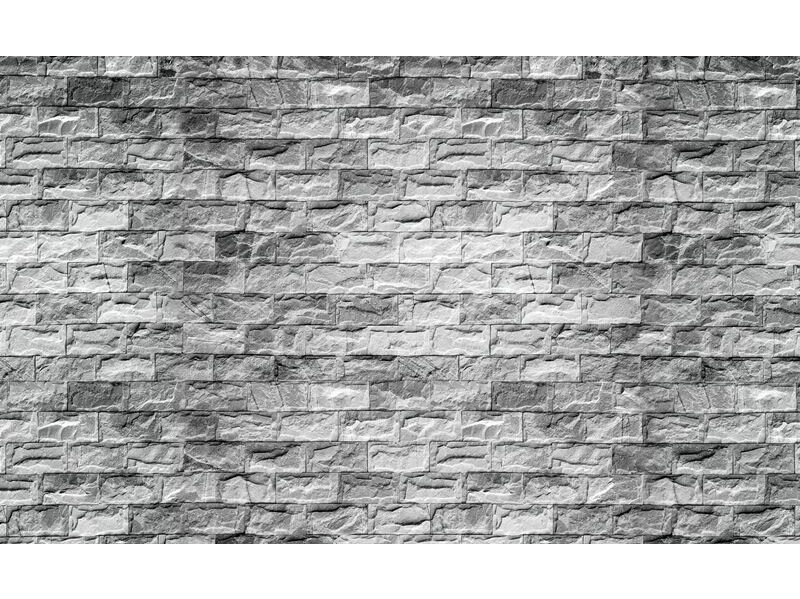 FOR WALL fototapetai 1659VE M
