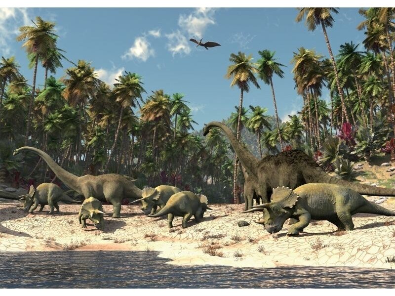 FOR WALL fototapetai 0165VE XXL