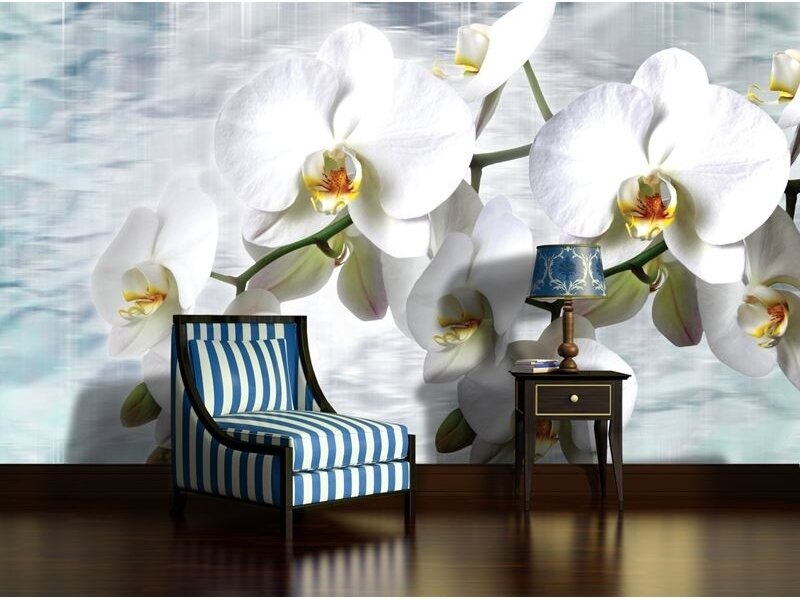 FOR WALL fototapetai 1667VE P8 1
