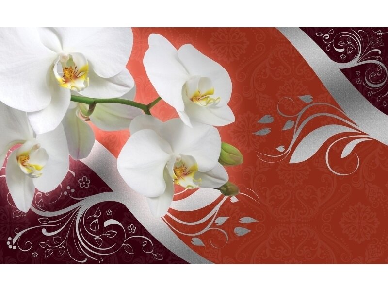 FOR WALL fototapetai 1821VE XL