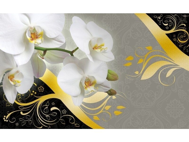 FOR WALL fototapetai 1825VE XXXL FOR WALL fototapetai 1825VE XXXL
