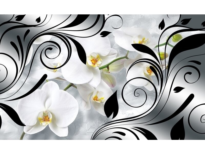 FOR WALL fototapetai 1831VE L