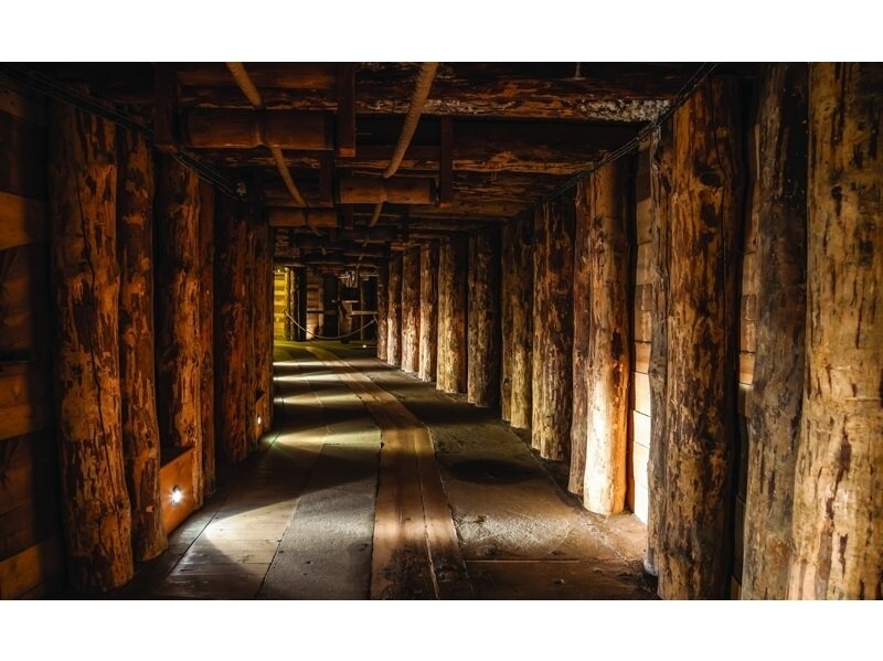 FOR WALL fototapetai 1962VE P4