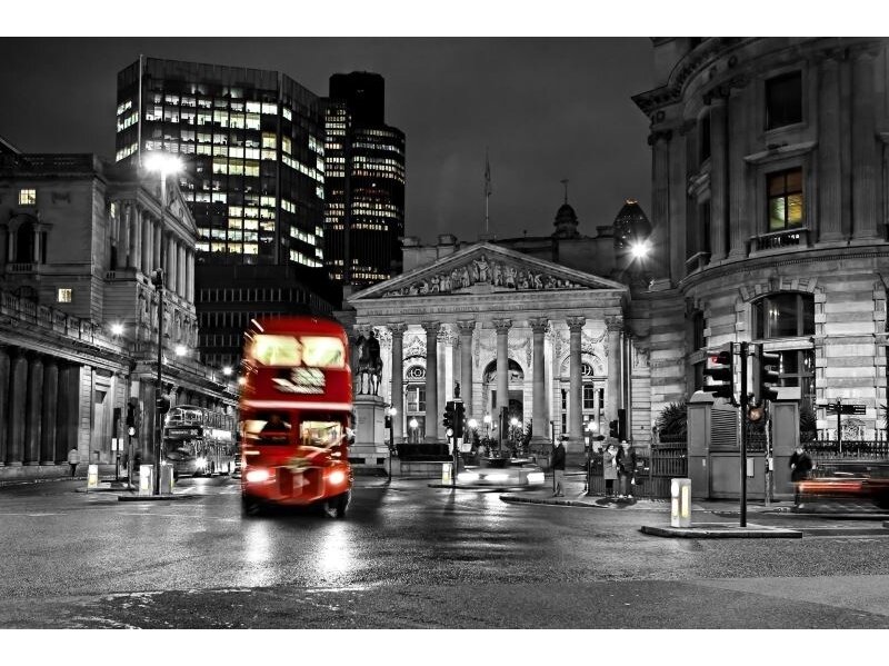 FOR WALL fototapetai 0196VE XXL