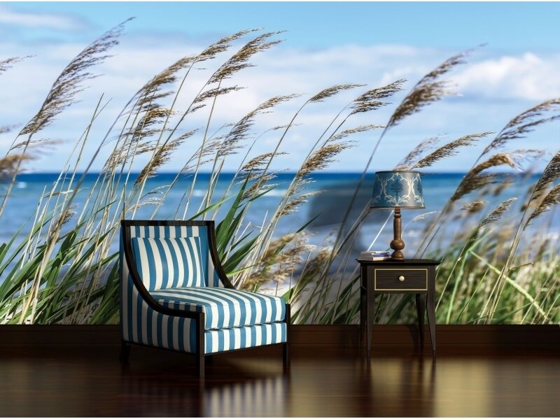 FOR WALL fototapetai 1976VE XXL 1 FOR WALL fototapetai 1976VE XXL 1