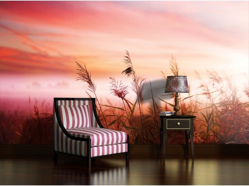 FOR WALL fototapetai 1994VE XXXL 1