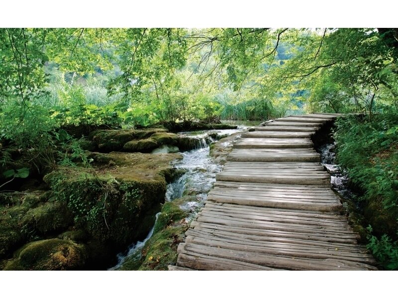 FOR WALL fototapetai 1995VE P8