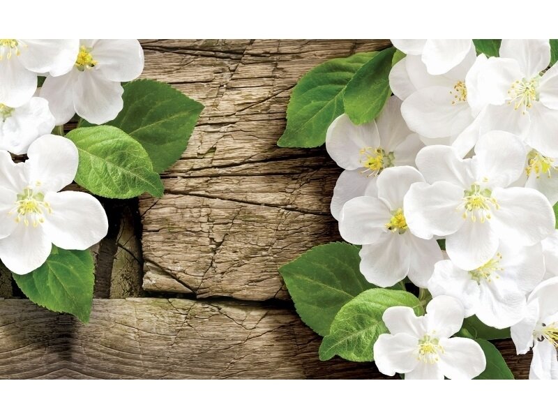 FOR WALL fototapetai 2002VE M