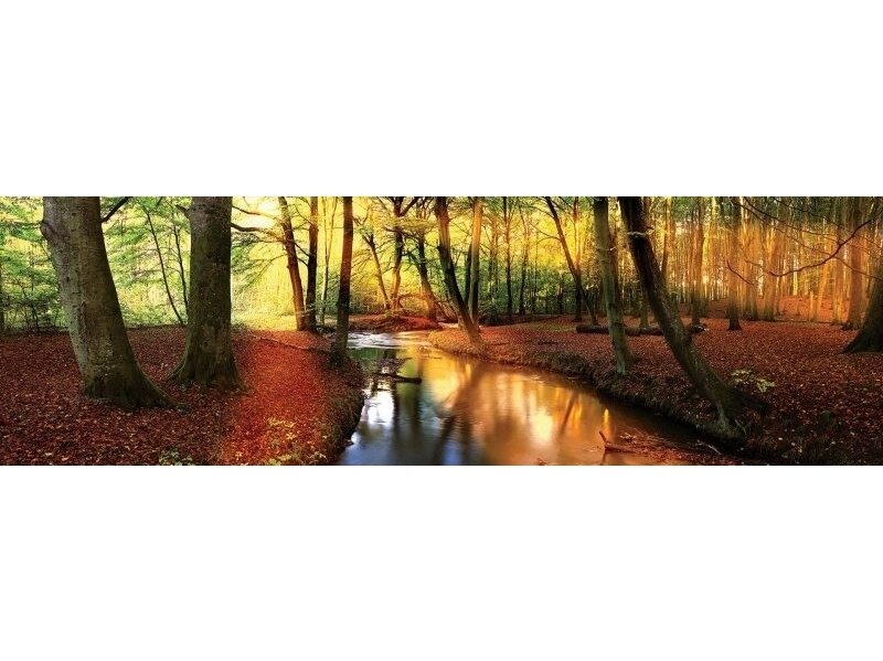 FOR WALL fototapetai 2018VEE