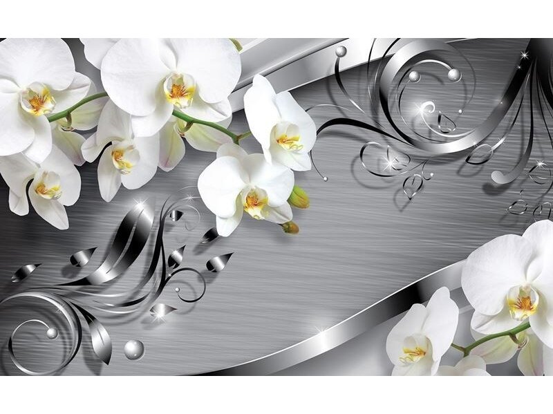 FOR WALL fototapetai 2158VE XXXL FOR WALL fototapetai 2158VE XXXL