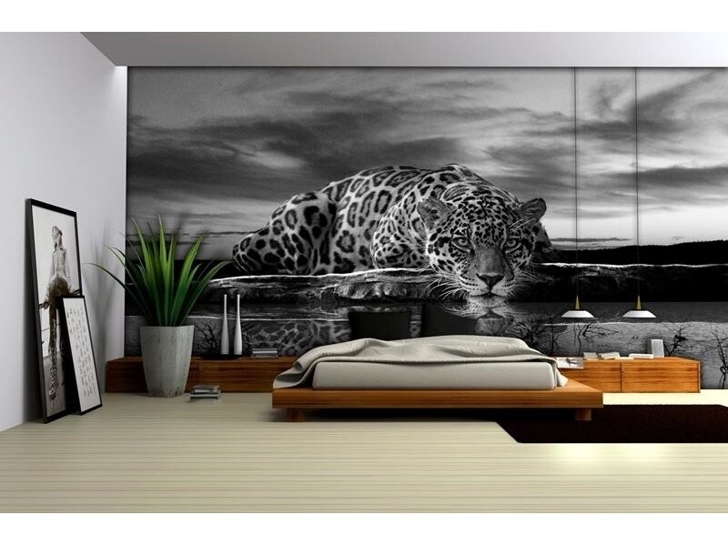 FOR WALL fototapetai 0218VE P8 1