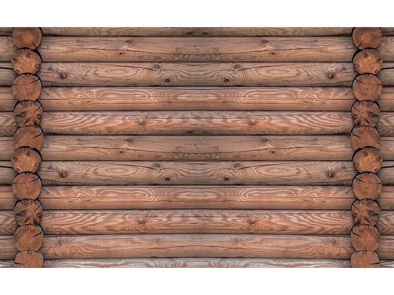 FOR WALL fototapetai 2214VE XXXL
