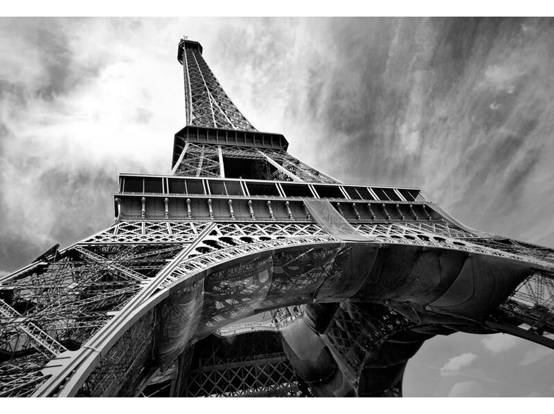 FOR WALL fototapetai 0221VE P8 FOR WALL fototapetai 0221VE P8