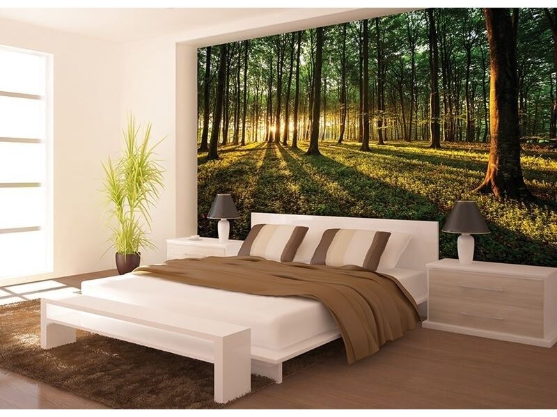 FOR WALL fototapetai 2225VE XXXL 1