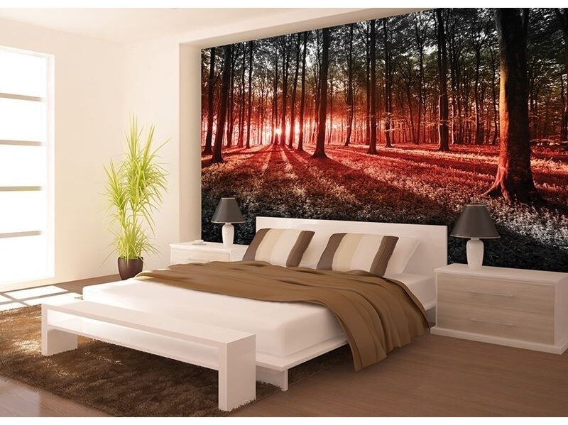 FOR WALL fototapetai 2227VE XXXL 1 FOR WALL fototapetai 2227VE XXXL 1