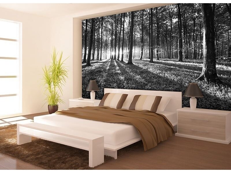 FOR WALL fototapetai 2229VE XXXL 1