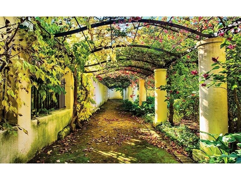 FOR WALL fototapetai 2296VE L FOR WALL fototapetai 2296VE L