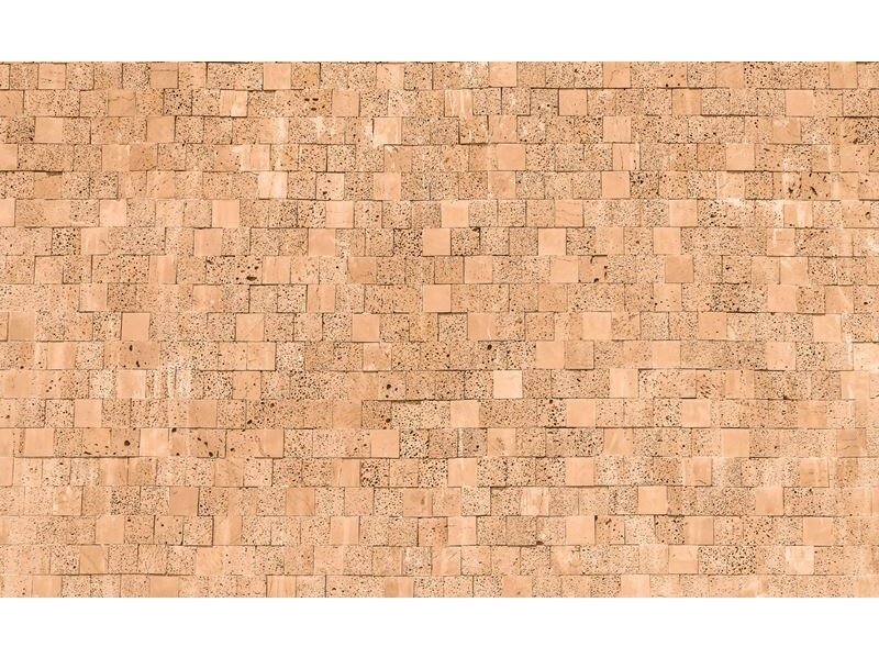 FOR WALL fototapetai 2320VE XXL