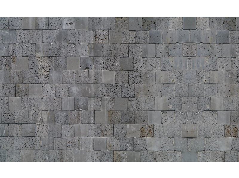 FOR WALL fototapetai 2321VE XXXL FOR WALL fototapetai 2321VE XXXL