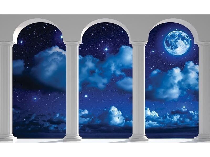 FOR WALL fototapetai 2346VE XXXL FOR WALL fototapetai 2346VE XXXL