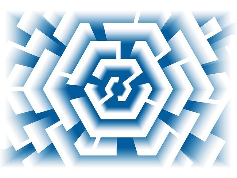 FOR WALL fototapetai 2453VE XXL