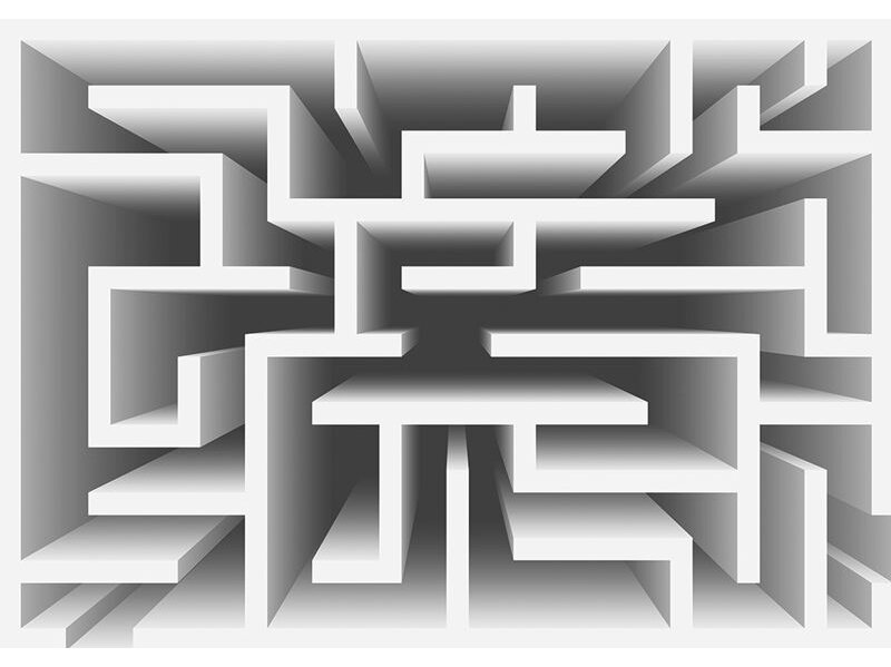 FOR WALL fototapetai 2455VE L