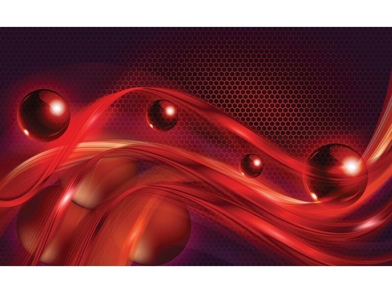 FOR WALL fototapetai 2484VE XXL