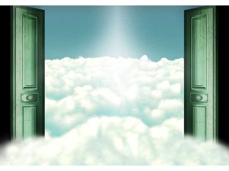 FOR WALL fototapetai 2555VE XXL