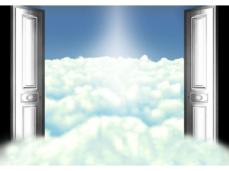 FOR WALL fototapetai 2556VE XXL