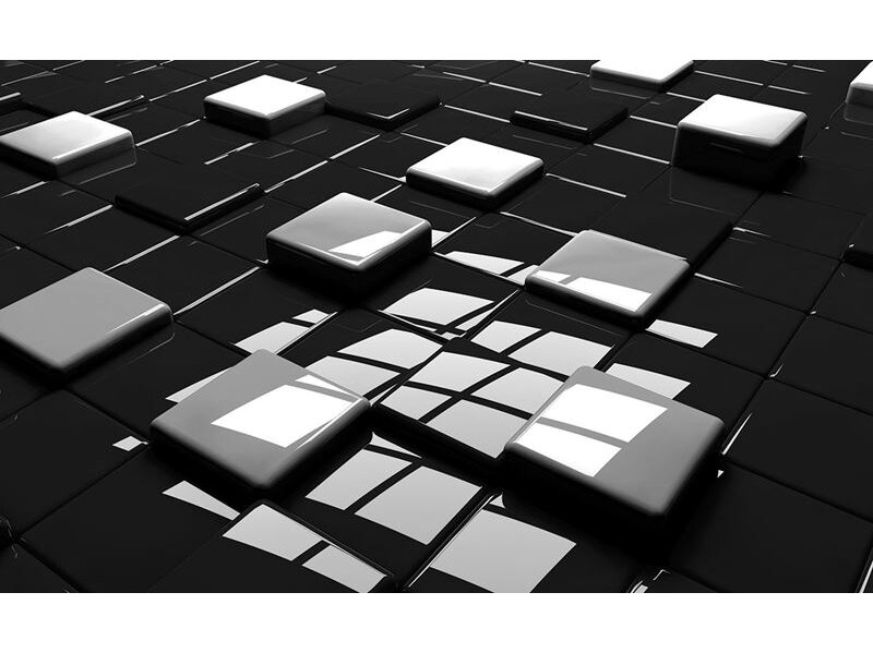 FOR WALL fototapetai 2579VE XXL