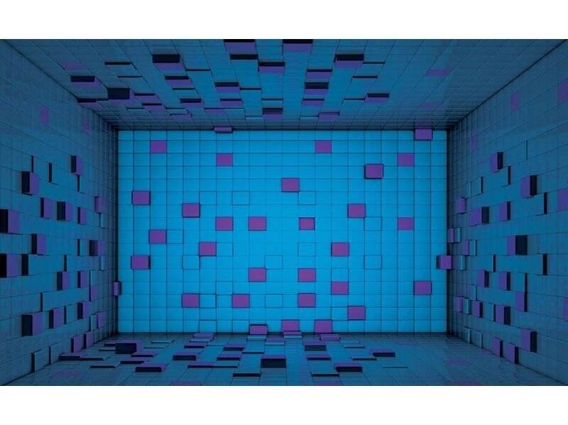 FOR WALL fototapetai 2580VE XXL