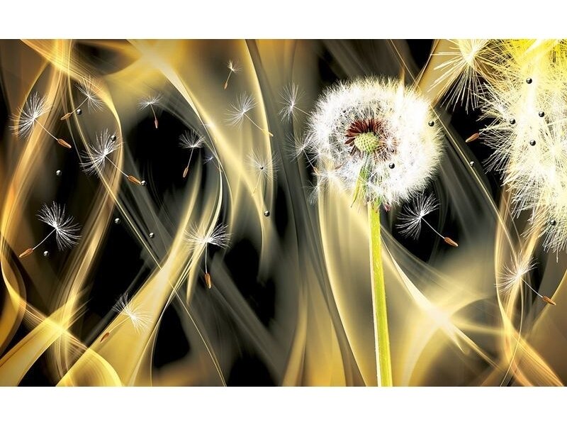 FOR WALL fototapetai 2601VE XXXL
