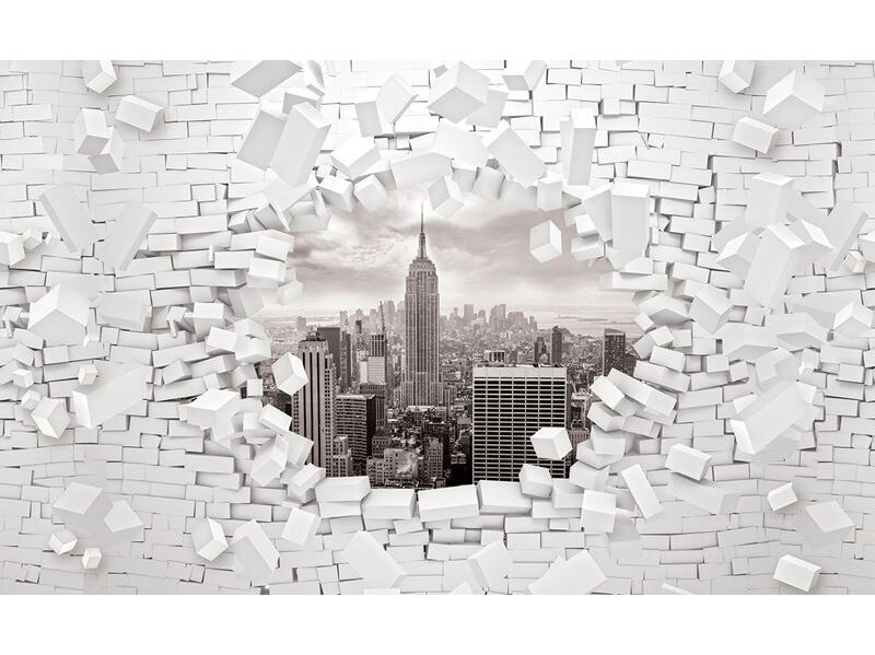 FOR WALL fototapetai 2721VE XXL