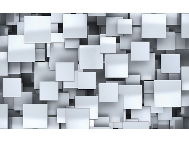 FOR WALL fototapetai 2808VE XXXL