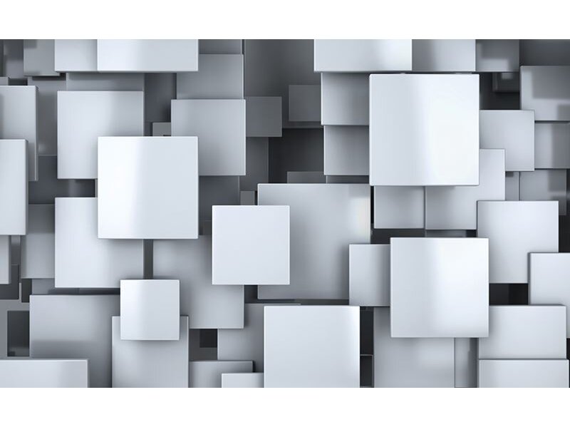 FOR WALL fototapetai 2810VE XL FOR WALL fototapetai 2810VE XL