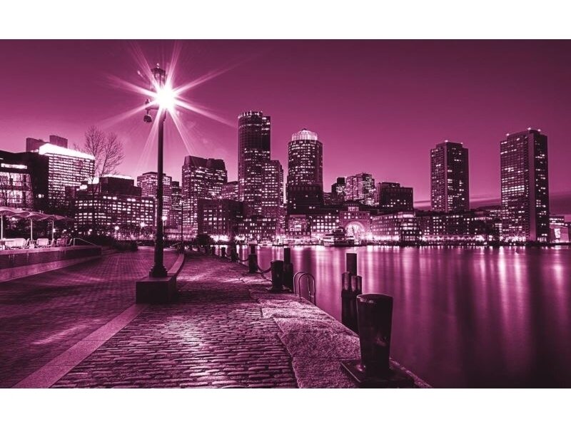 FOR WALL fototapetai 0284VE XXXL