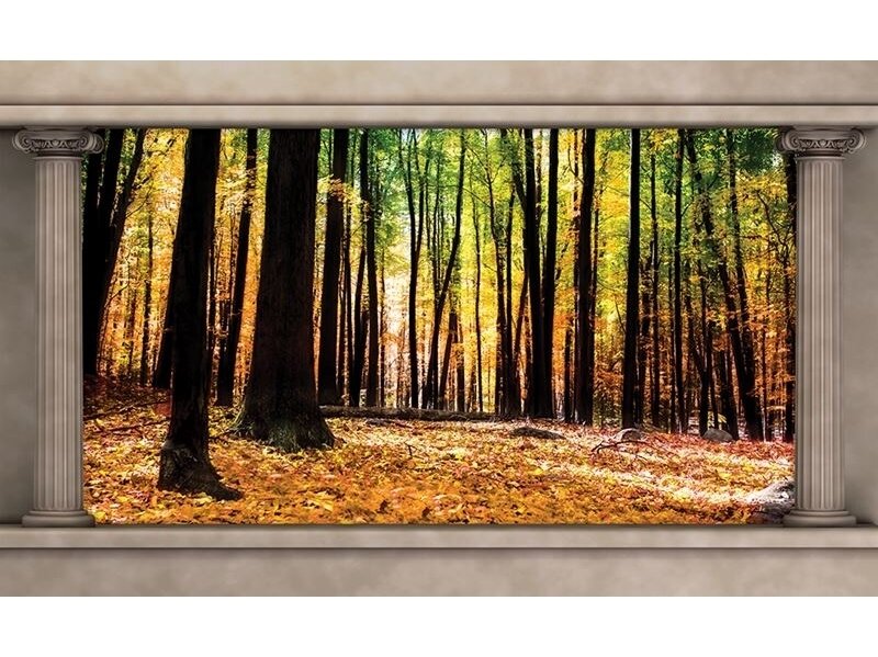 FOR WALL fototapetai 2865VE XXXL FOR WALL fototapetai 2865VE XXXL