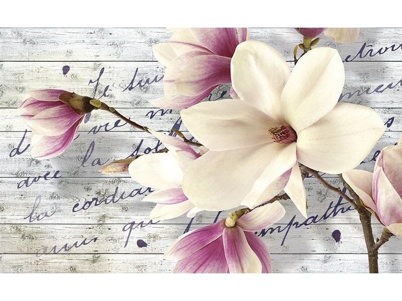 FOR WALL fototapetai 2878VE XXXL FOR WALL fototapetai 2878VE XXXL